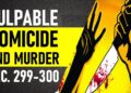 What is the difference between murder and culpable homicide?